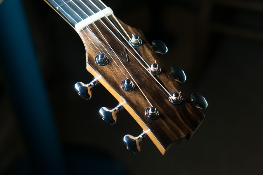 Mod D PNG Ebony Headstock.jpg