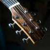 Mod D PNG Ebony Headstock.jpg