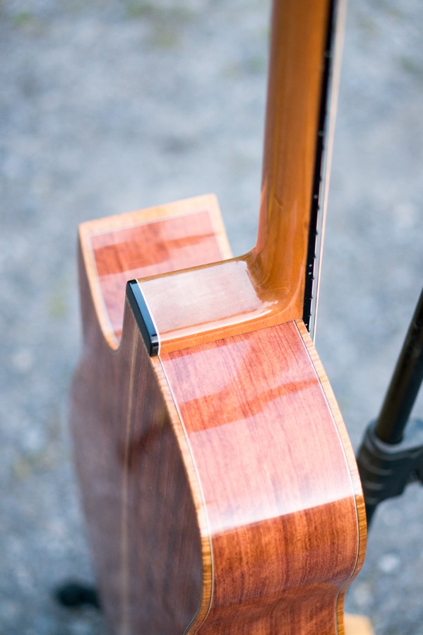 Cut rear oblique.jpg