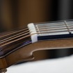 OMvr Guitar Nut and Volute detail.jpg