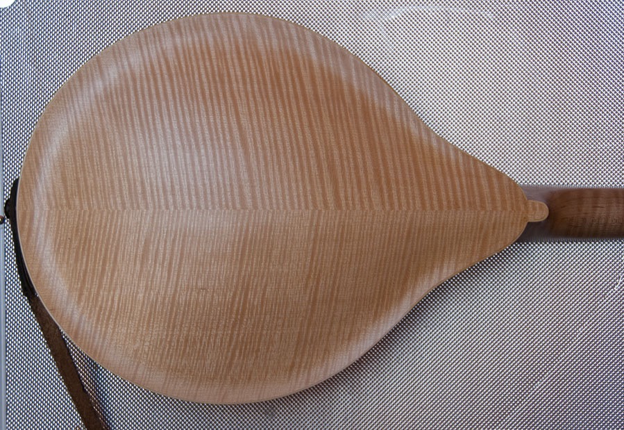 A5 Mandolin Back.jpg