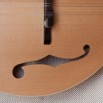 A5 Mandolin Red Spruce Top f hole detail.jpg