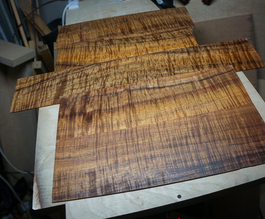 Koa awaiting selection.jpg