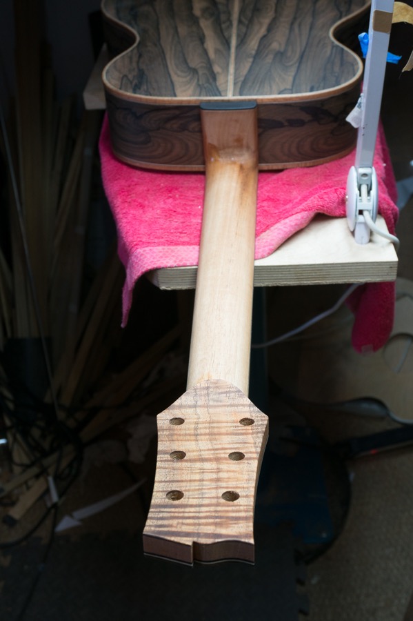 Headstock back.jpg